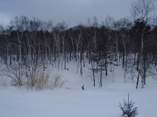 東北の雪深いの風景