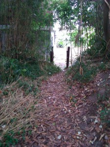 カートで通った山道4