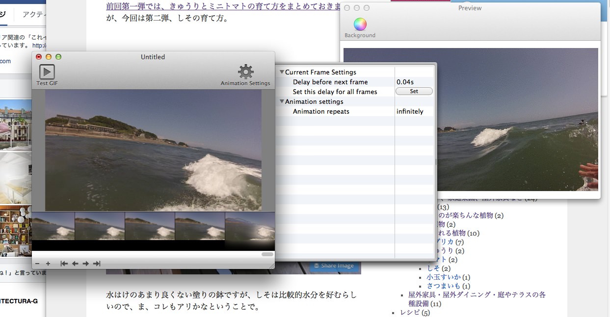 GIF AnimatorでGoPro HD HERO3のサーフィン動画をFlashに